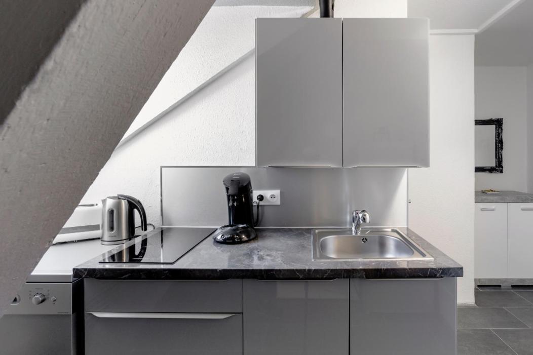 Myhome Basel 3a46 Apartment Saint-Louis (Haut-Rhin)